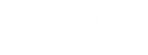 CCVSA logo