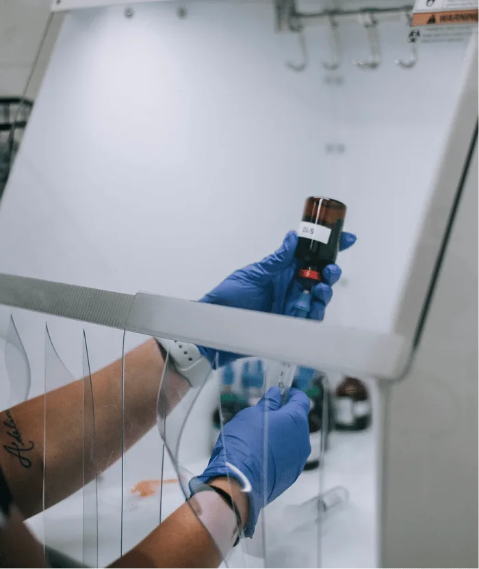 Lab vials prepared for advanced bloodwork panels in St. Augustine